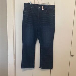 Ann Taylor Women's Dark Blue Boot Cut Jeans